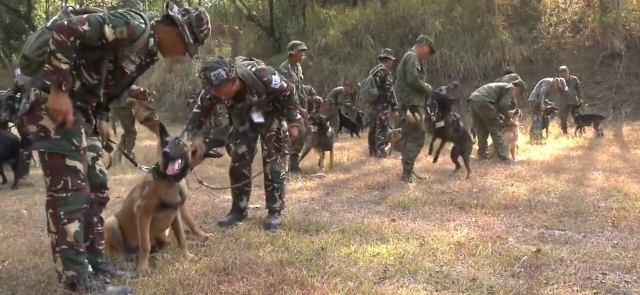 Alpha Dog Training Footage from Salaknib 2019 in Philippines