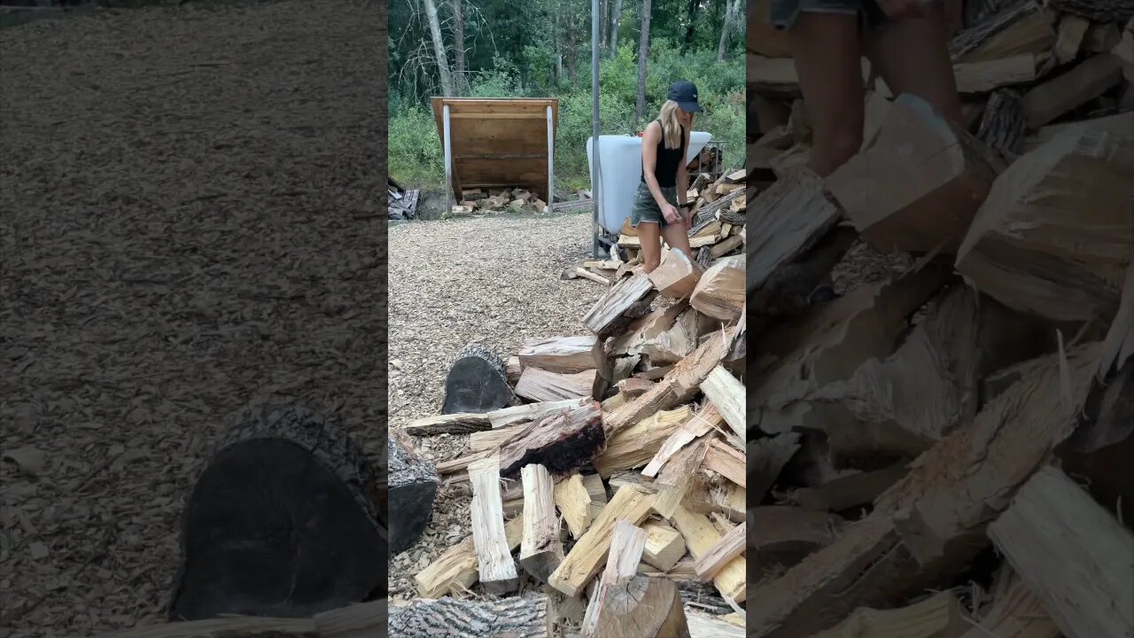 Getting Her Steps in for the Day #firewood #steps #wood