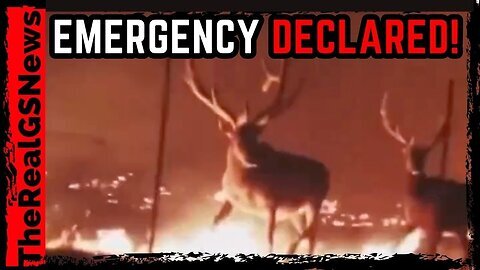 BREAKING!! ⚠️ WYOMING DECLARES EMERGENCY!! OUT OF CONTROL SITUATION