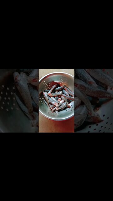 এই গুলো কি মাছ বলুন তো? @BENGALCOOKING #fish #fishrecipe #shorts #youtubeshorts #bengalcooking