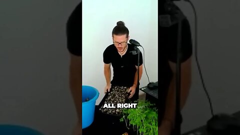 Ultimate Gardening Hack The Perfect Moringa Microgreen Technique Revealed