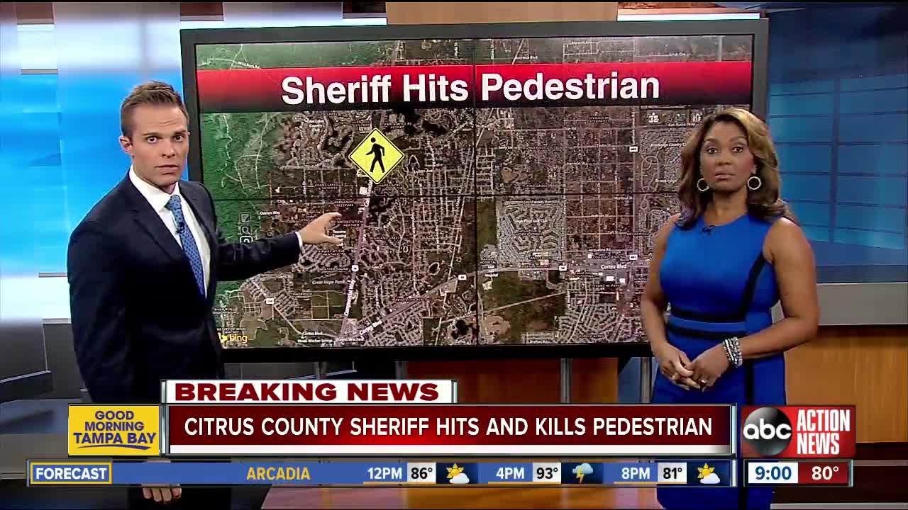 Citrus County sheriff hits, kills pedestrian on US 19, FHP says