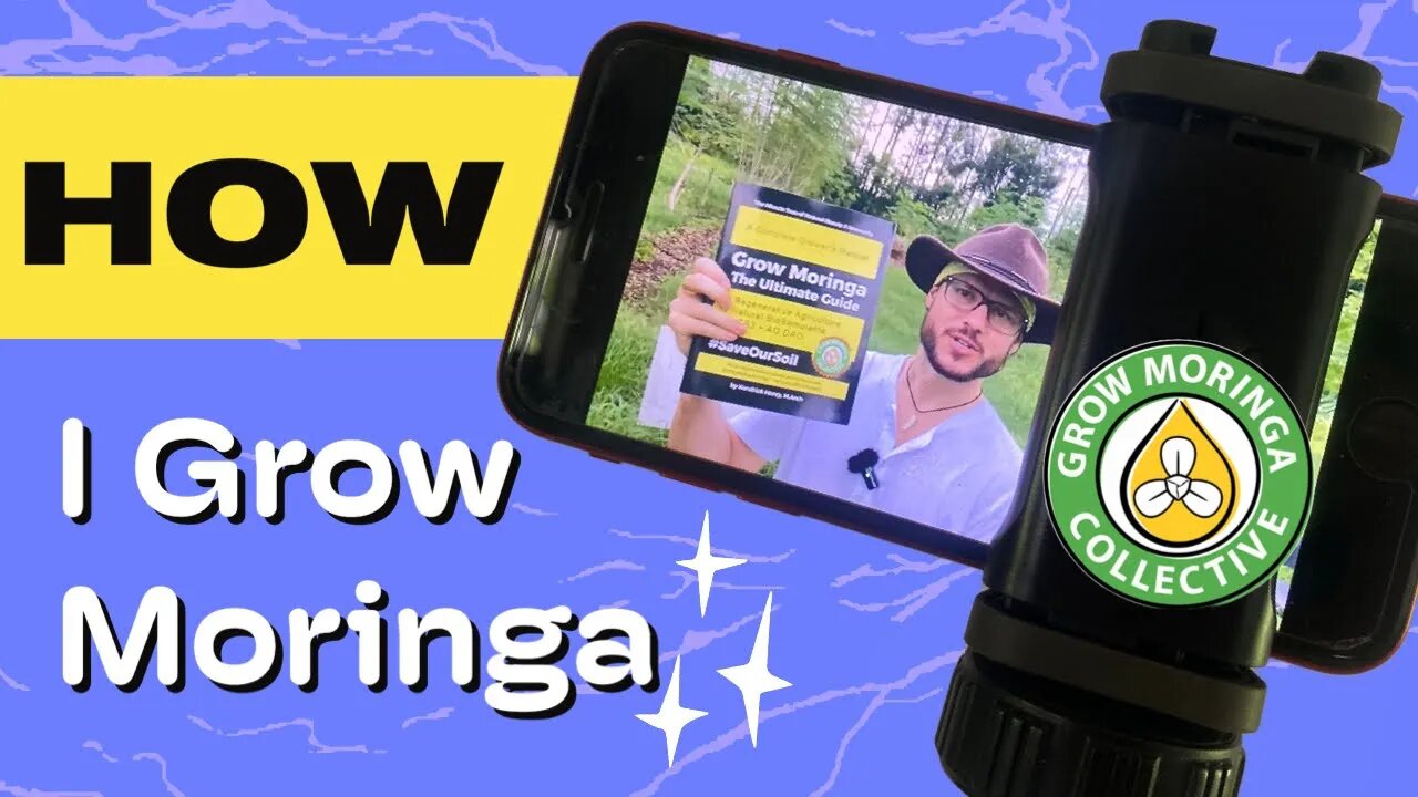 Uncovering the Secrets of Farming Moringa