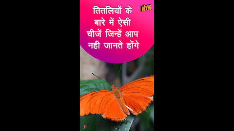 तितलियो के बारे मे 4 facts *