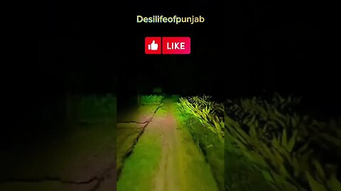 #desilifeofpunjab #nature #viral#knights