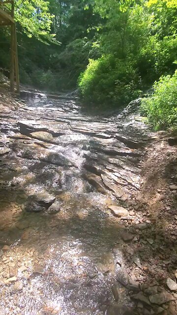 Nature what a beautiful thing