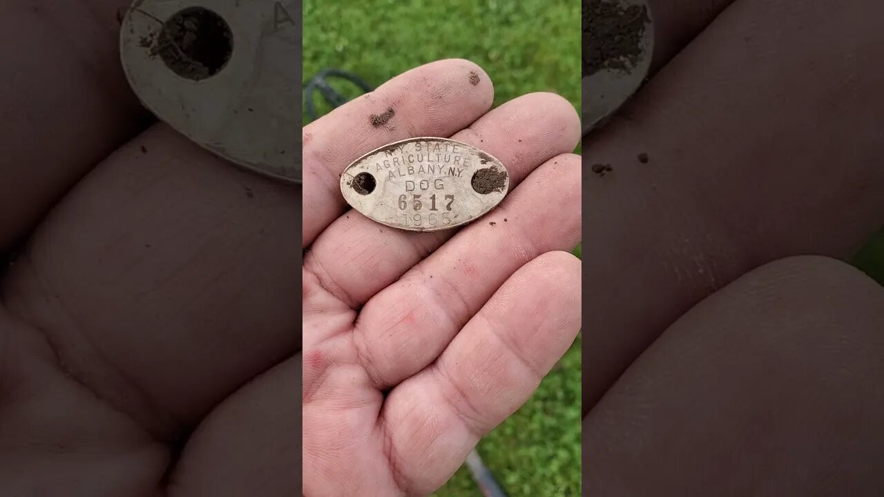 65 doggy tag #metaldetecting #silver #buttons #trending #civilwar #battlefield #coins #relic