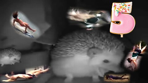 The hedgehog sneezed the girls began to fall. Get a dose of adrenaline from this video