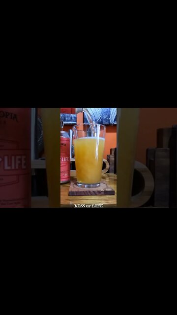 Newtopia Cyder Kiss Of Life Short #shorts #shortvideo #shortsvideo #youtubeshorts