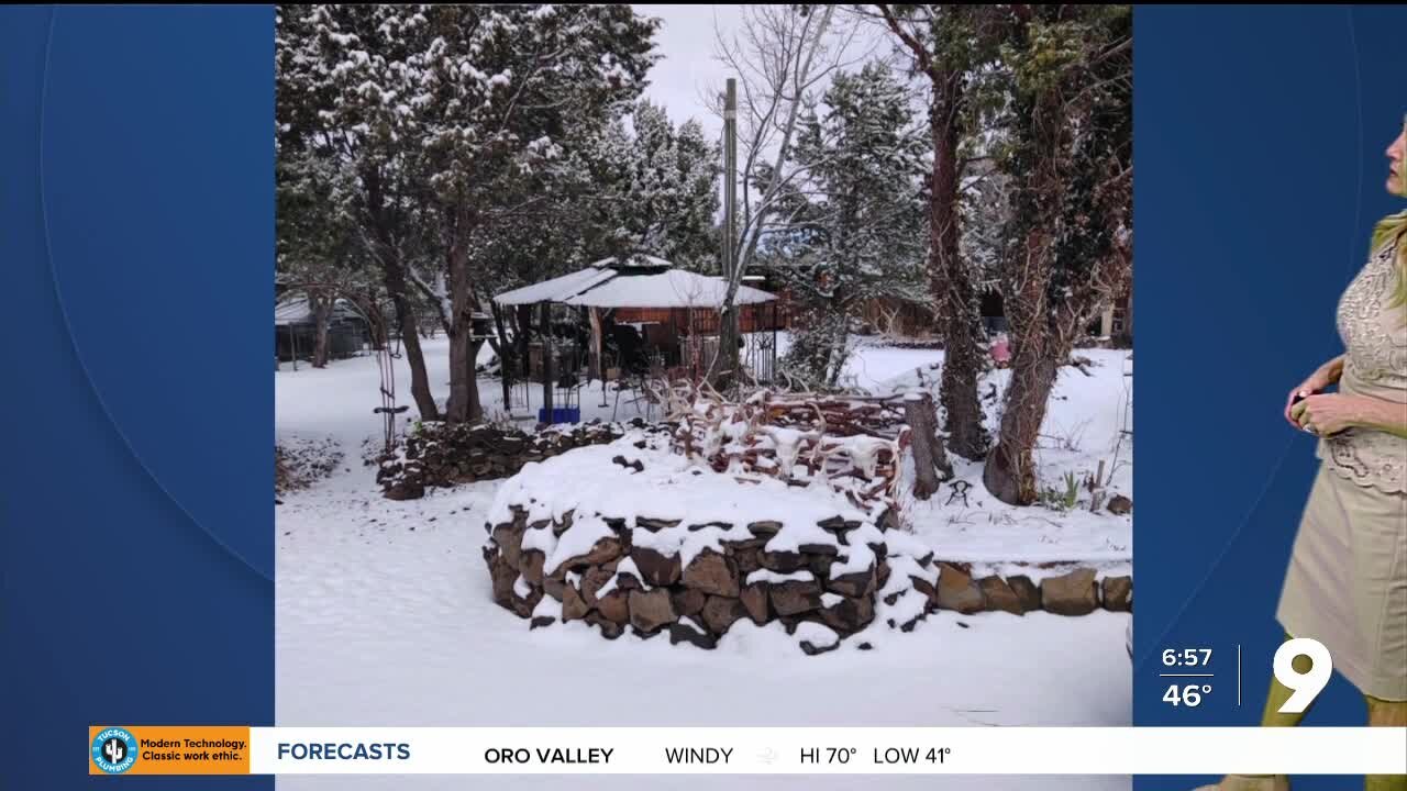 Snow pic in Vernon AZ