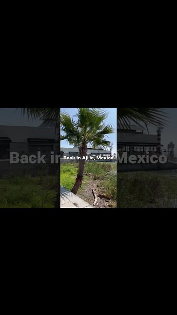 Back in Ajijic, Mexico