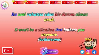 New Turkish Sentences! \\ Week: 7 Video: 2 // Learn Turkish with Tongue Bit!