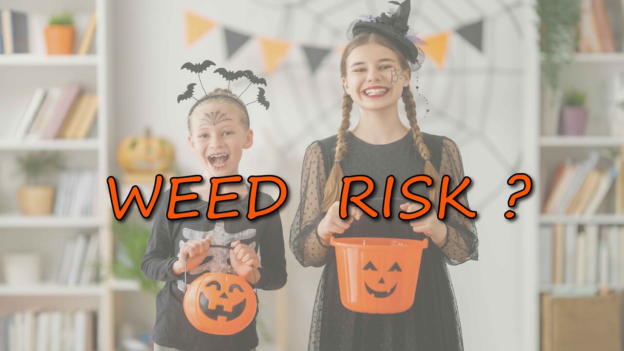 The Real Truth Behind Cannabis Candy in Halloween Baskets: Separating Fact from Fear