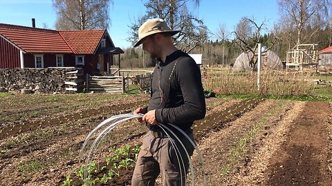 Is This The Best Way To Protect Vegetables From Cold & Insects?