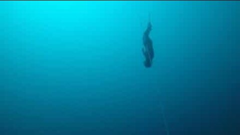 카리브해에서 자신의 기록을 깬 프리다이버