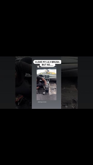 DOG 🐕🐶 HAIR IS THE WORST 😭 #vlog #automobile #detailers #autodetailing #video #car #detailing #viral