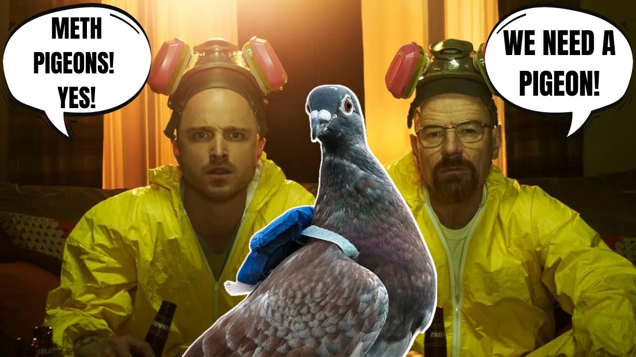 Walter White & Jesse Pinkman Would Be Proud of These "METH CARRIER PIGEONS"!