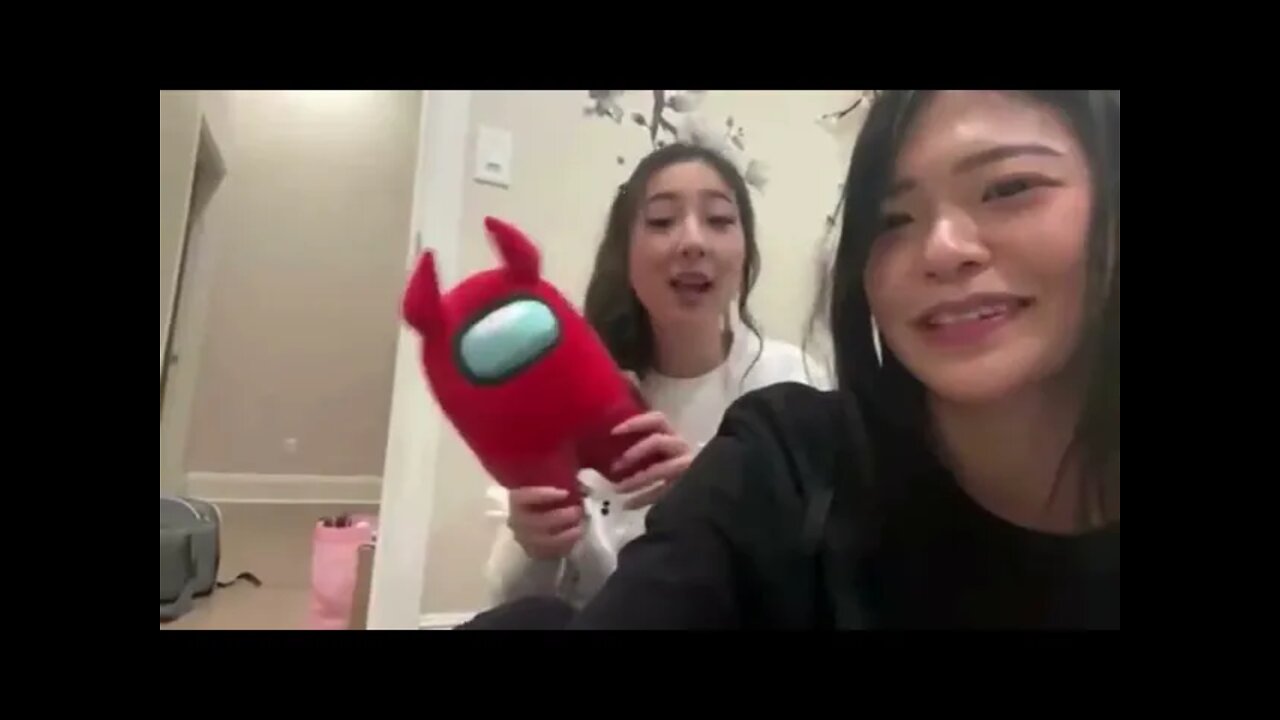 New Friend for Nabi