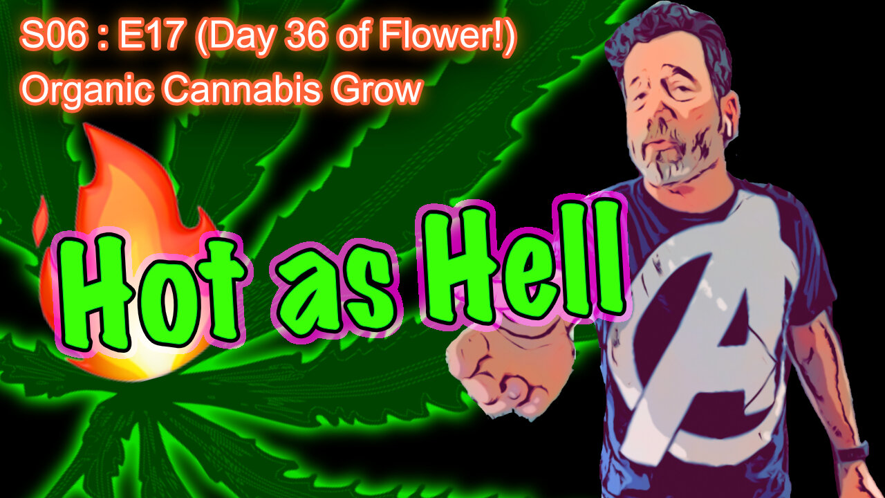 S06 E17 (Day #113) || Day 36 of Flower || BluMat Soil Meter || How to Grow Cannabis for Beginners