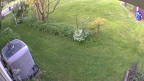 1_EAST_FLOODLIGHT_VIDEO_CAM_2023-05-04T15_01_42-0400.mp4