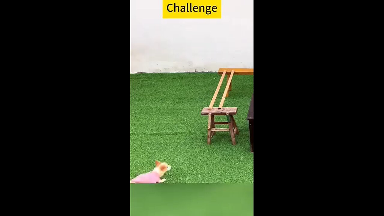 Smart Guy