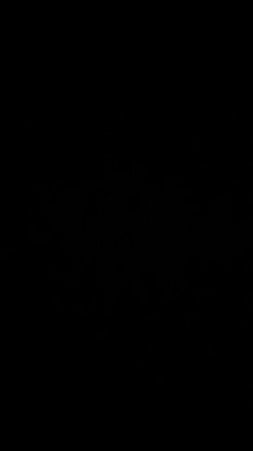 Hurricane Milton warning