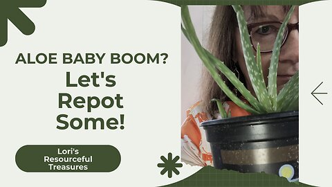 Aloe Baby Boom