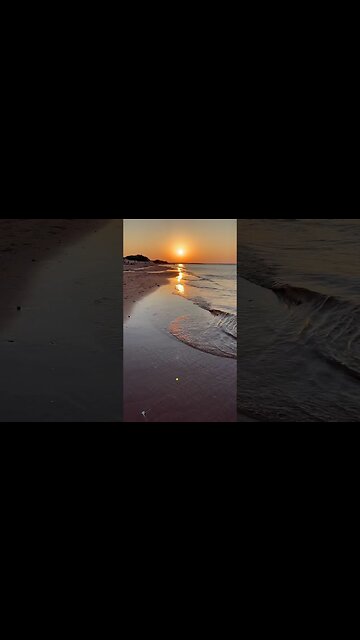 Did You Have a Good Summer? ☀️