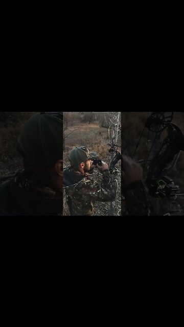 My First Ever Kansas Buck Is Live!