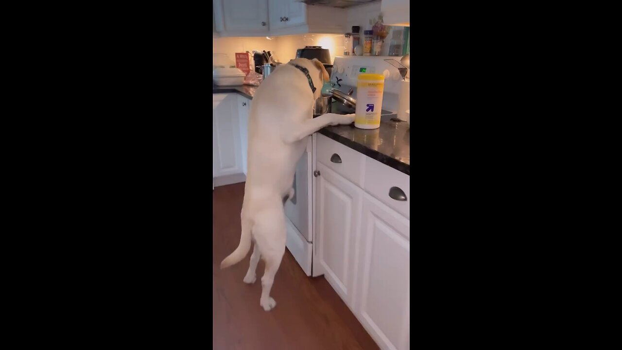 🤣