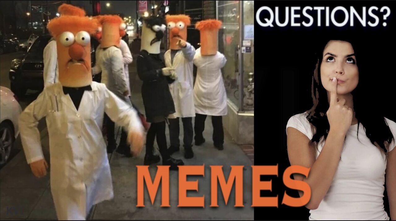 HARVARD, SpaceX and More Immigrants in MEMES