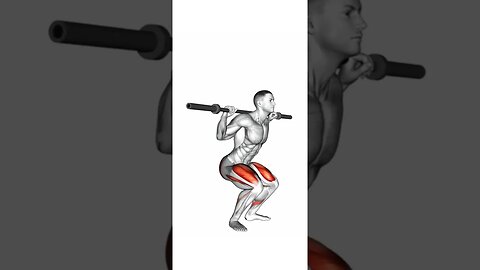 Quadriceps training with barbells, dumbbells, and your own weight