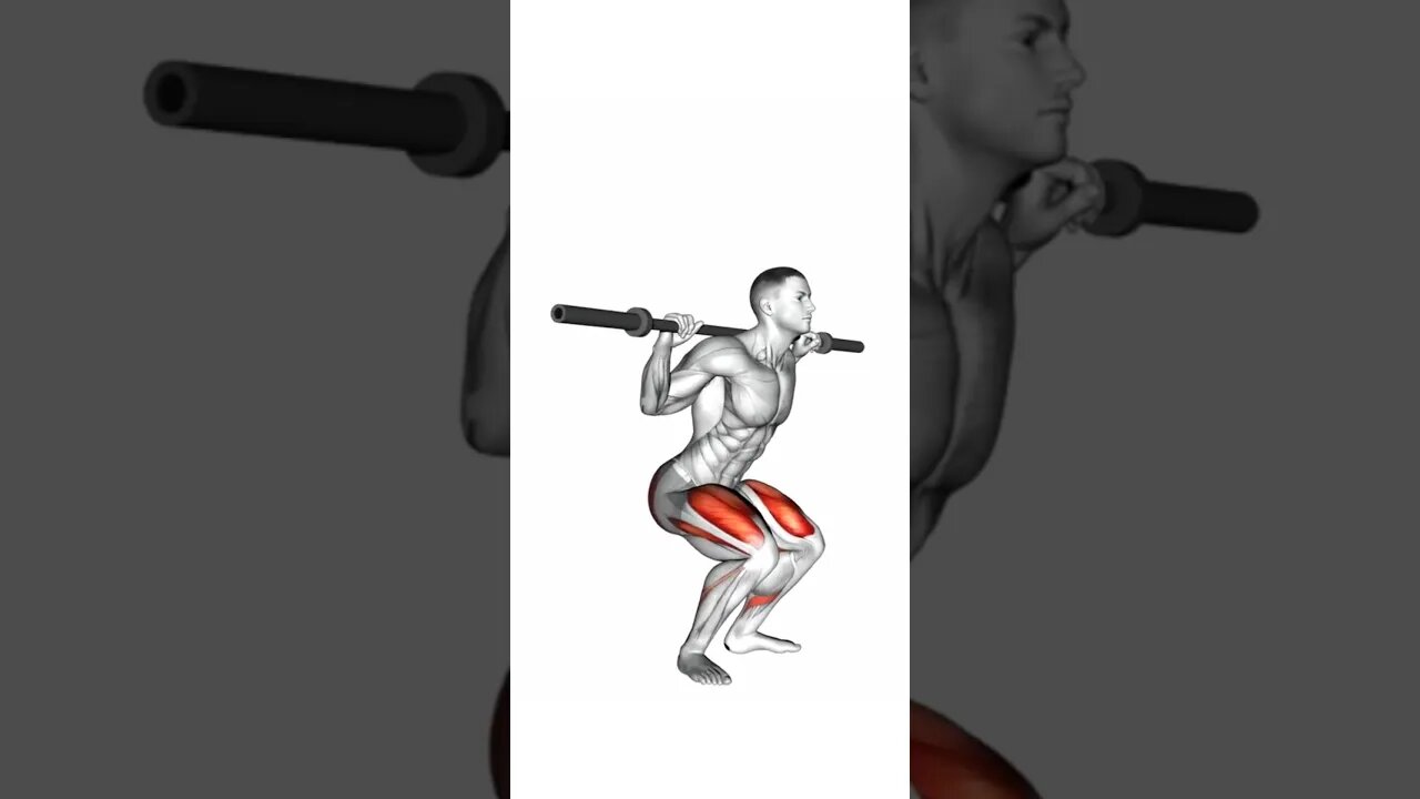 Quadriceps training with barbells, dumbbells, and your own weight