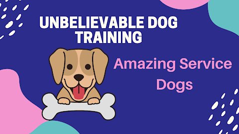 Unbelievable Dog Training! Golden Retrievers make Amazing Service Dogs