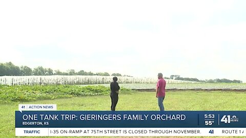 One Tank Trip: Gieringers Family Orchard