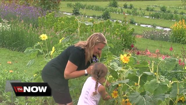 Flower lovers flock to U-pick Springville farm