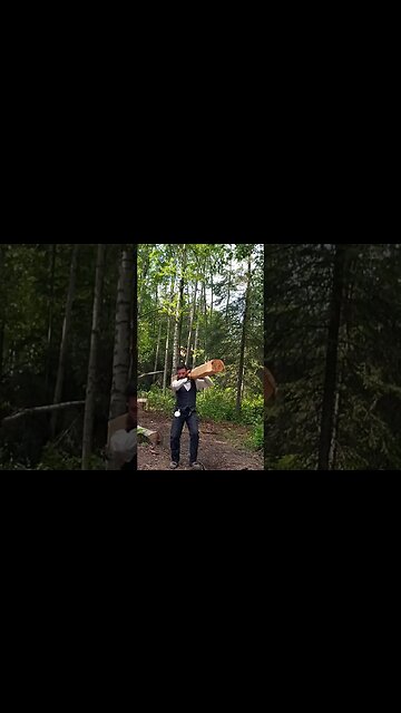 Hauling 250lb. Live Birch Timber From The Sawmill