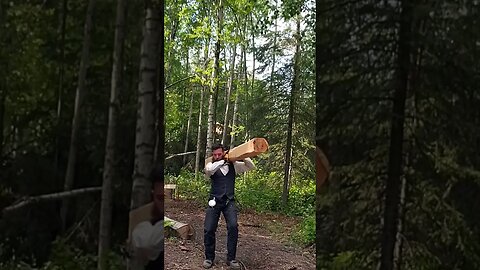 Hauling 250lb. Live Birch Timber From The Sawmill