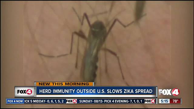 Experts: Herd immunity outside U.S. slows Zika in Florida