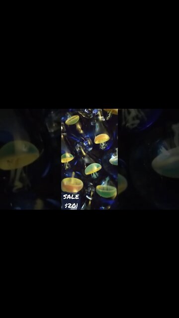 New Glass Jellyfish Available!