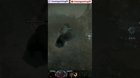 Bear Transformation