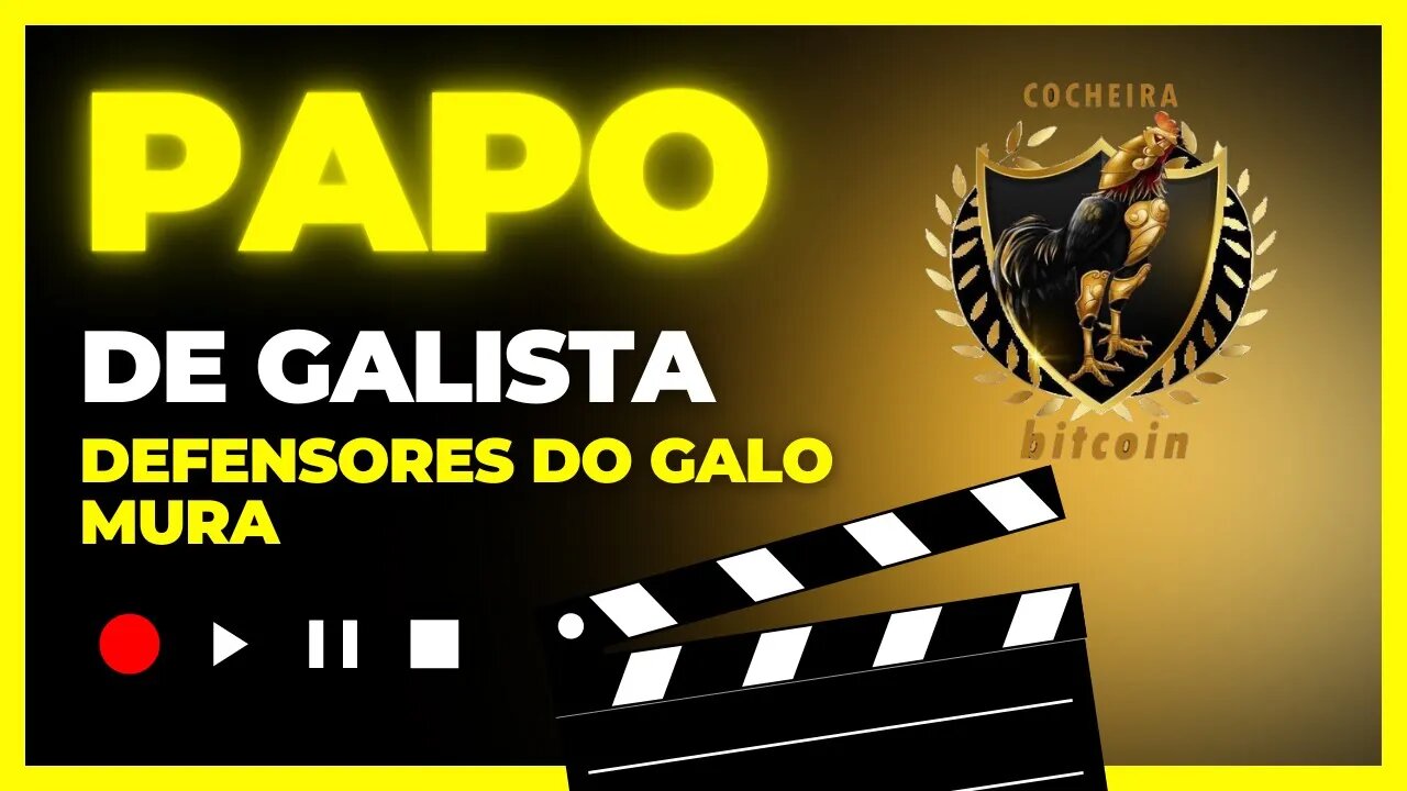 PAPO DE GALISTA COM DEFENSORES DO GALO MURA