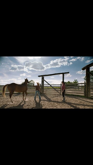 Heartland 1810 Amy and Lou Trying to Work With Stetson Scene