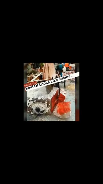 Petrified Giant Organ? You Decide