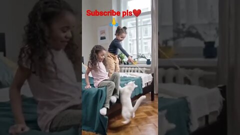 #youtubeshorts funny cat❤️🤣🤣