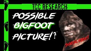 Possible Bigfoot Photo from VA | Enhancement