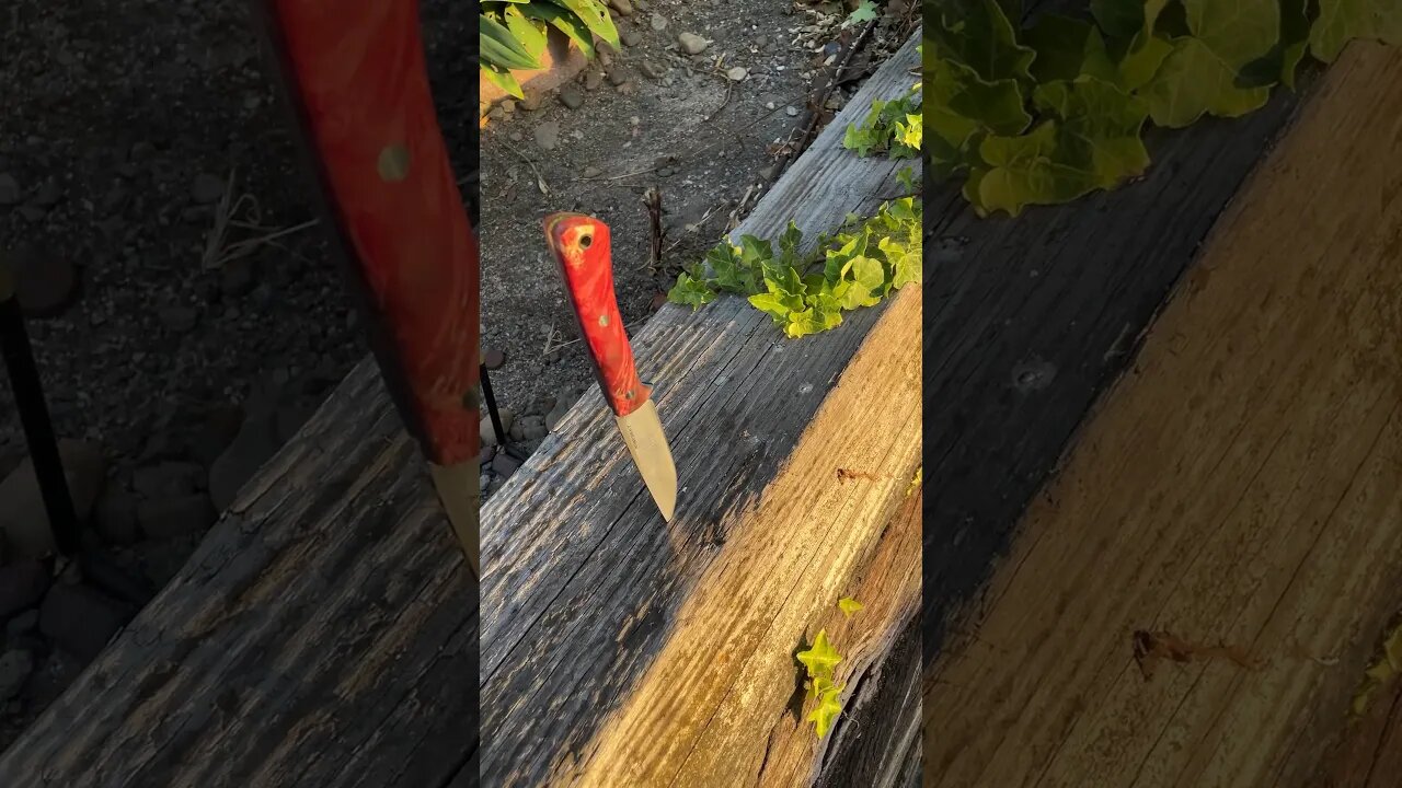 SEXY!!! Custom fixed blade at sunset #knife #edc #knifecollection