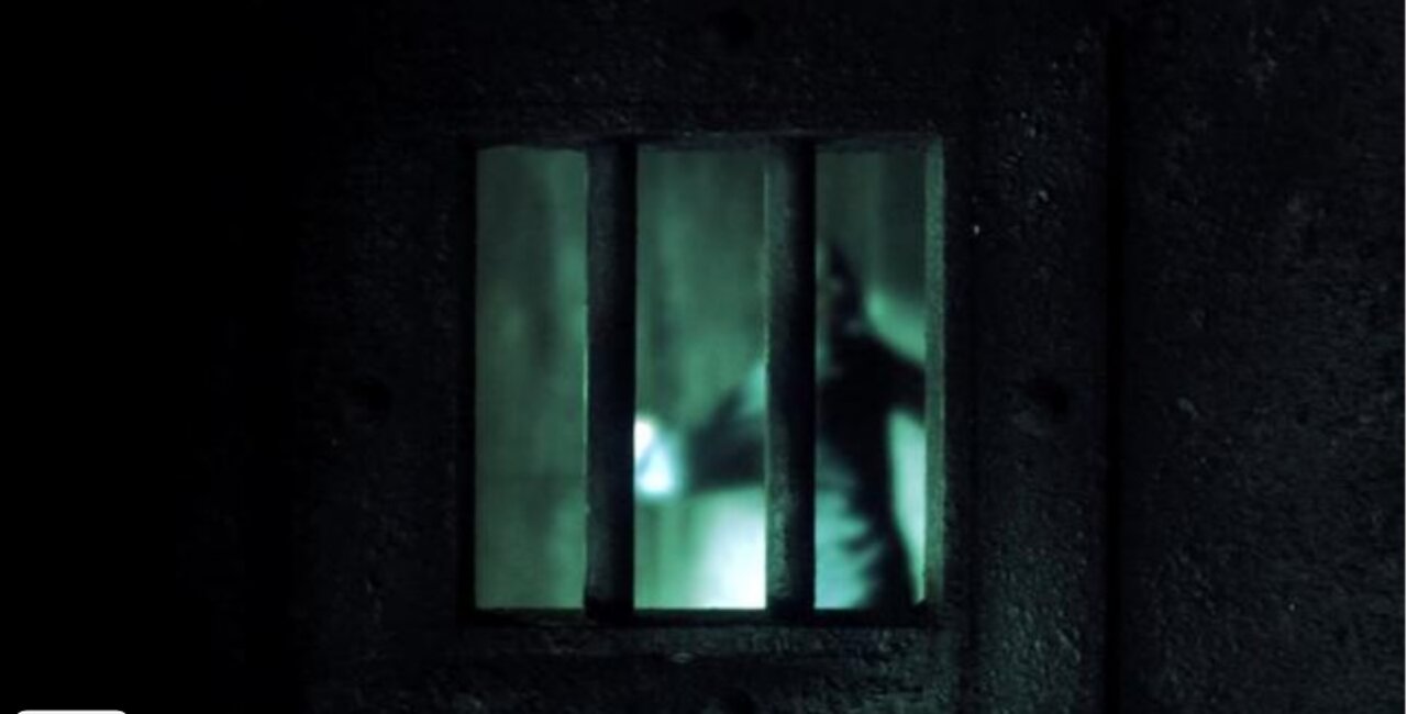 Everyone has the right to not be unjustly imprisoned or banned from their country