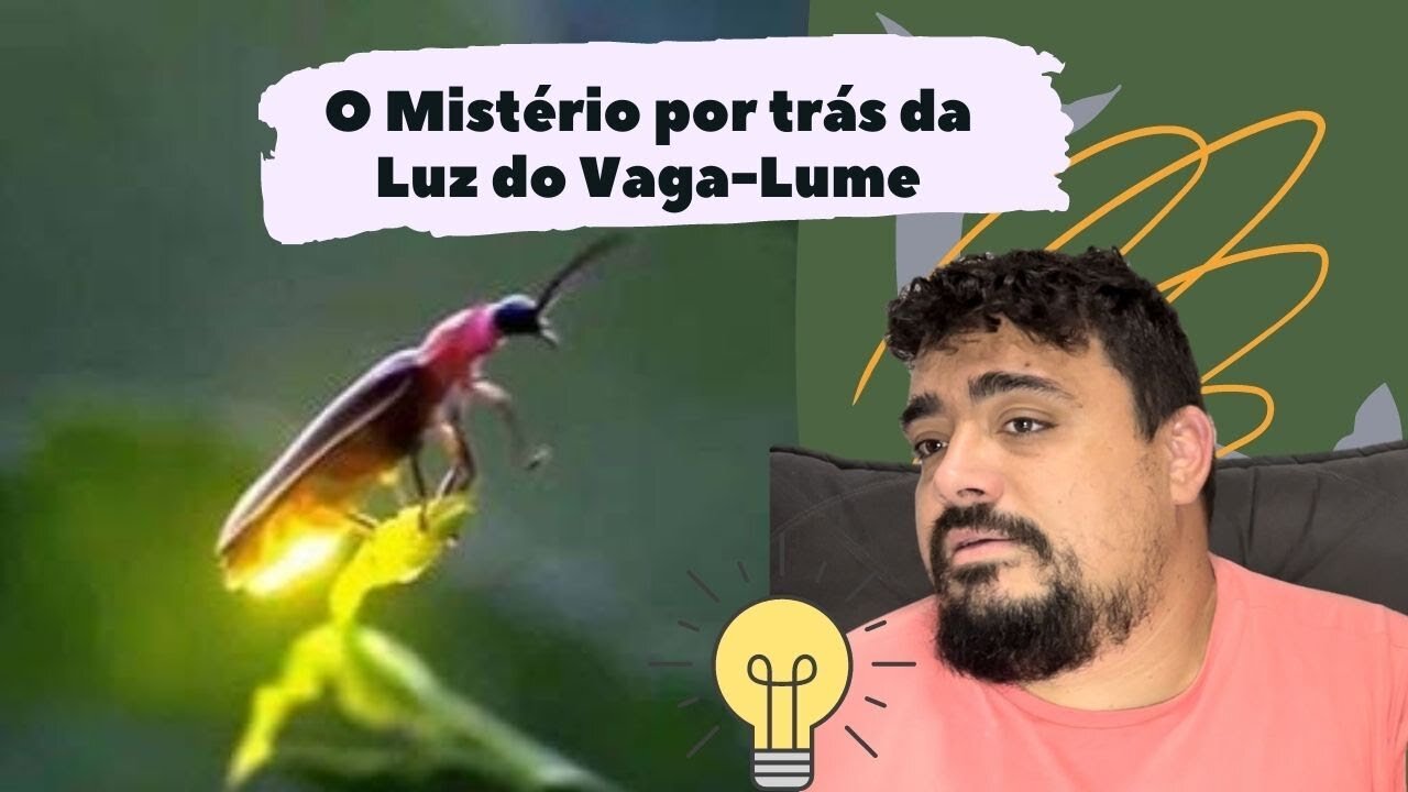 O Porque da Luz do Vaga-lume e para que serve