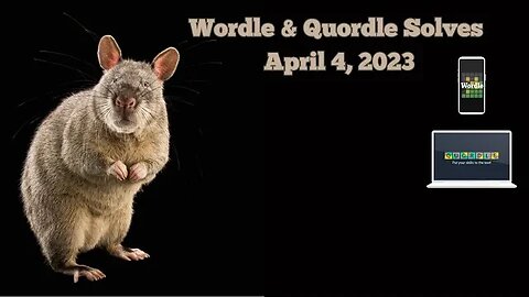 Wordle and Quordle of the Day for April 4, 2023 ... Happy Rat Day!